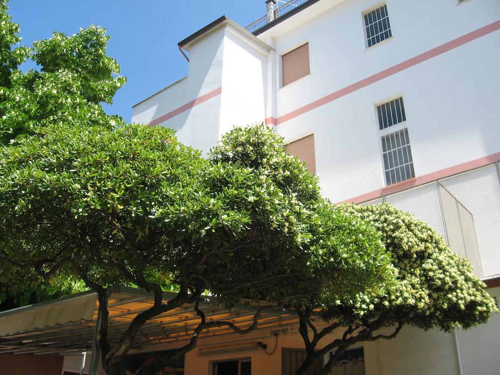 Hotel Eleonora ريميني المظهر الخارجي الصورة